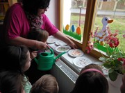 Pozorujeme jak klíčí a rostou semínka